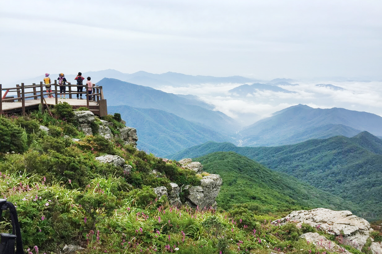 지리산 노고단 탐방예약