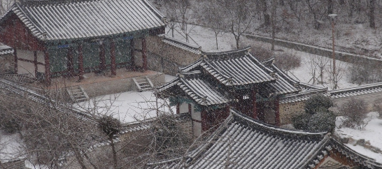 영화 관상 정보 수양대군 김종서, 세상을 예측하는 자