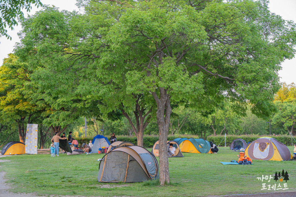 양화 한강공원 피크닉