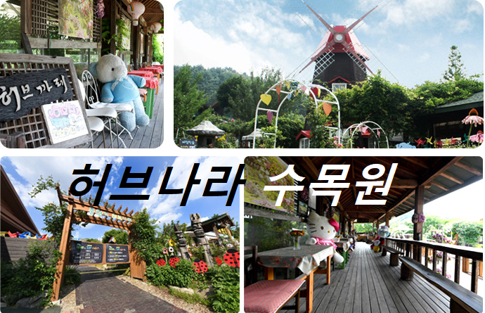 허브나라 대표사진