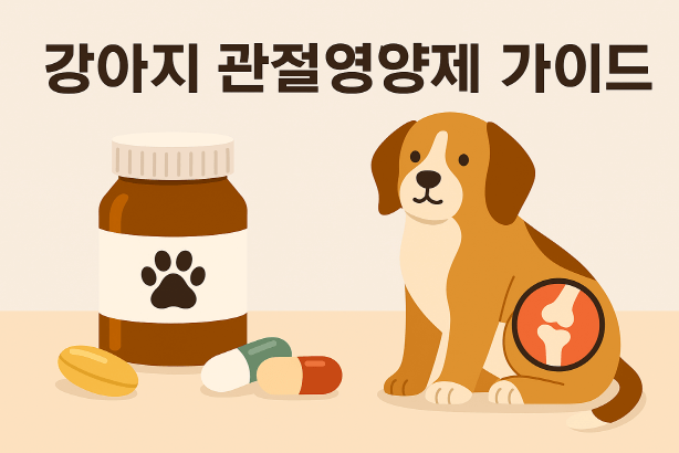 [반려견건강] 강아지 관절영양제, 언제부터 어떤 걸 줘야 할까?