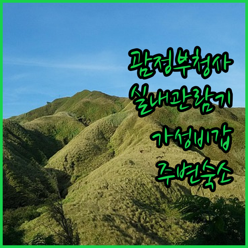괌 정부청사 실내 관람 후기와 가성비..