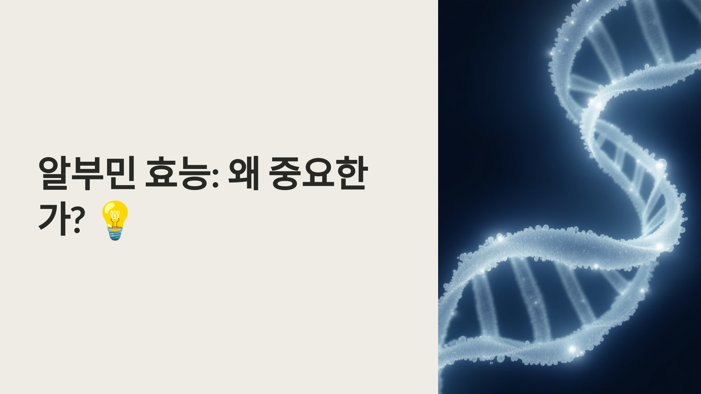 알부민 효능 왜 중요한가?