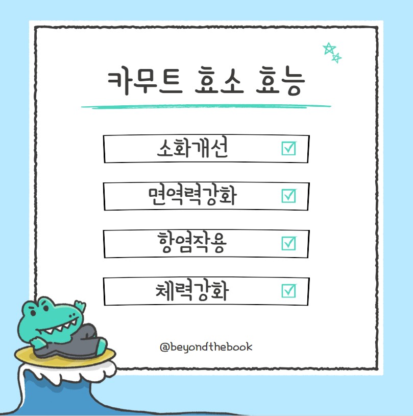 카무트 효소 효능