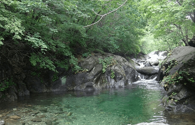 화악산계곡