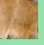 피로회복에 좋은 음식과 스트레칭