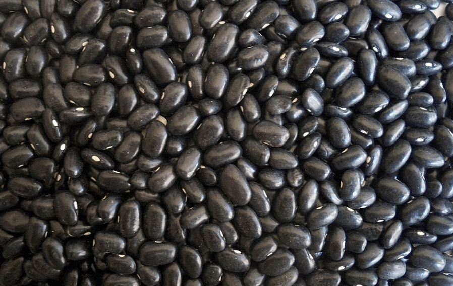신장에 좋은 음식 검은콩이 쌓여 있다