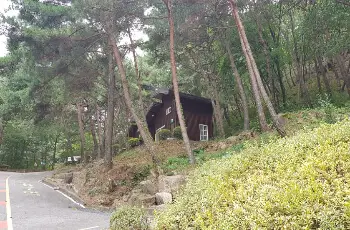 성주봉 자연휴양림_4