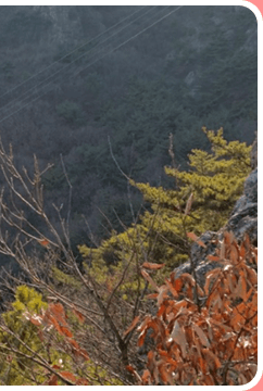 대구 앞산 케이블카 요금 할인