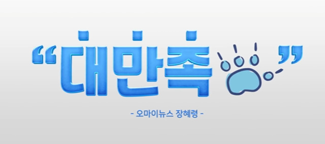 릴로 & 스티치 후기 쿠키영상 해석
