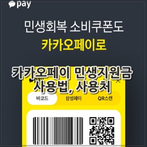 카카오페이 민생지원금 사용법, 사용처