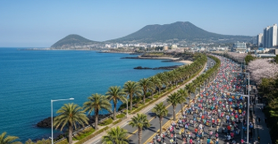 2026년 마라톤 대회 일정