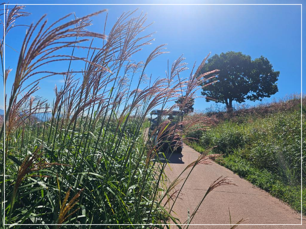 황매산국립공원 나눔 카트 투어 이미지/ 출처: 황매산국립공원 홈페이지