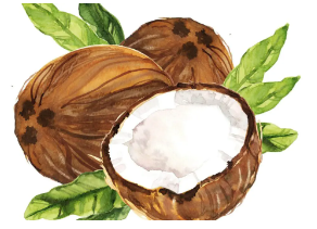 칼륨이 풍부한 코코넛