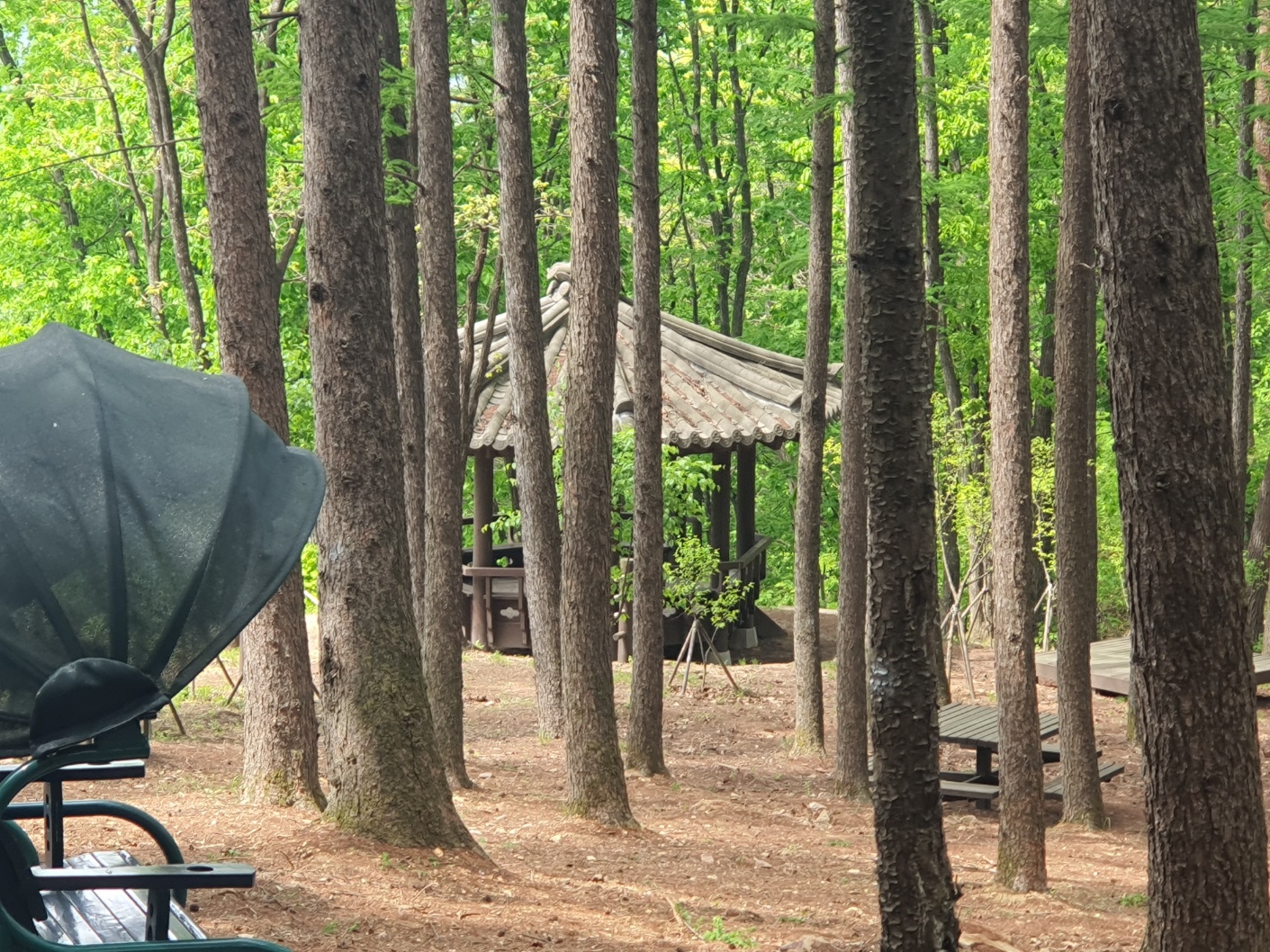 봉래산산림욕장