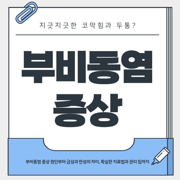 부비동염 증상