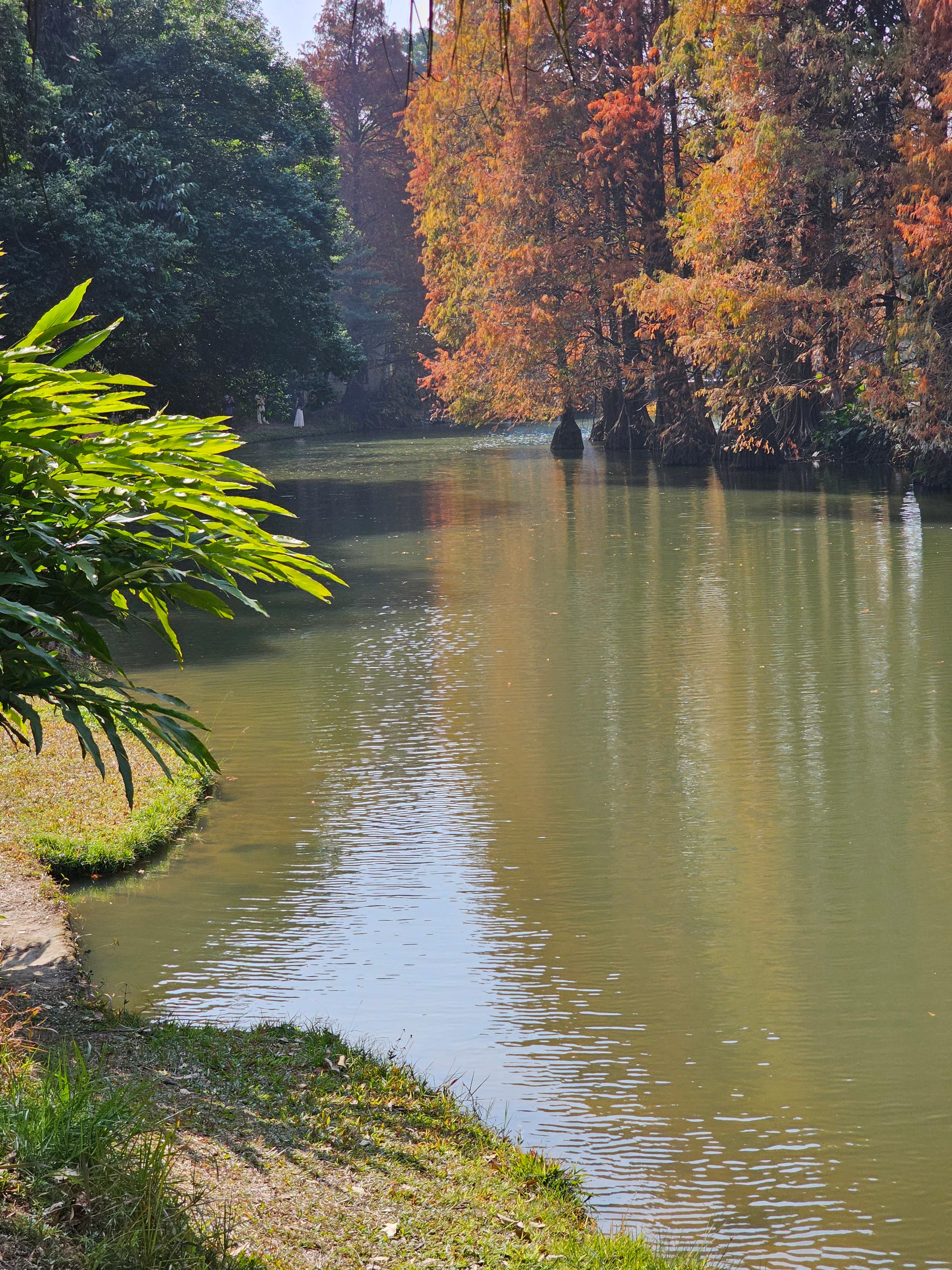 광저우 화남식물원
