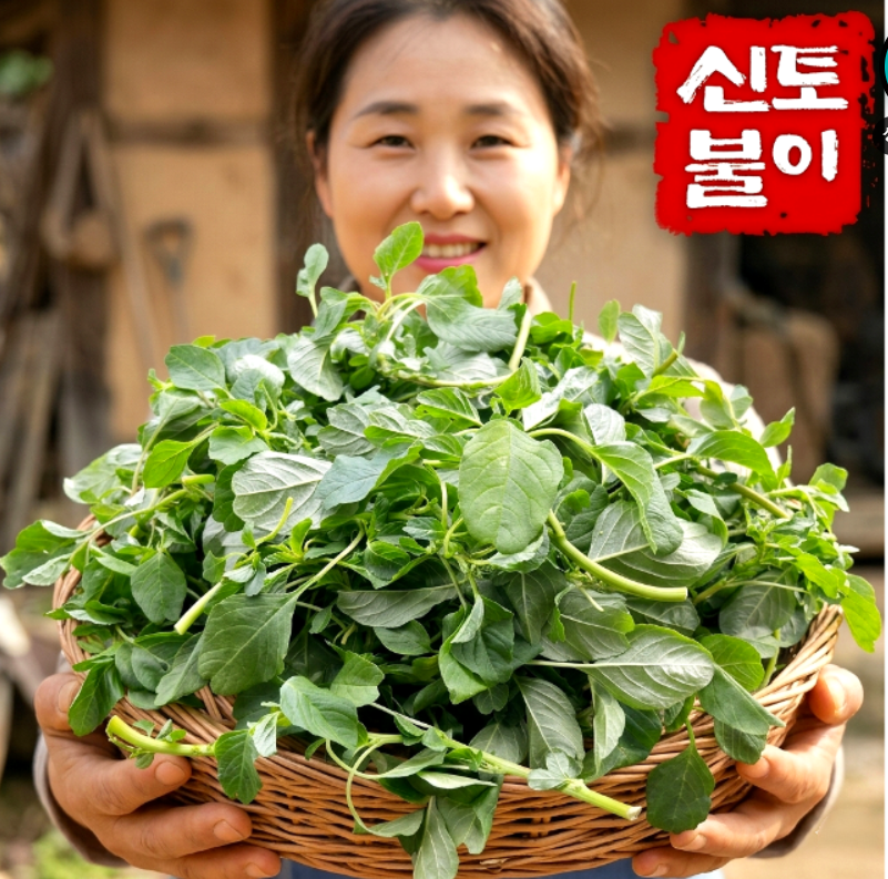 더위를 식히는 여름 제철나물 5가지! 건강하고 시원한 여름 밥상 만들기