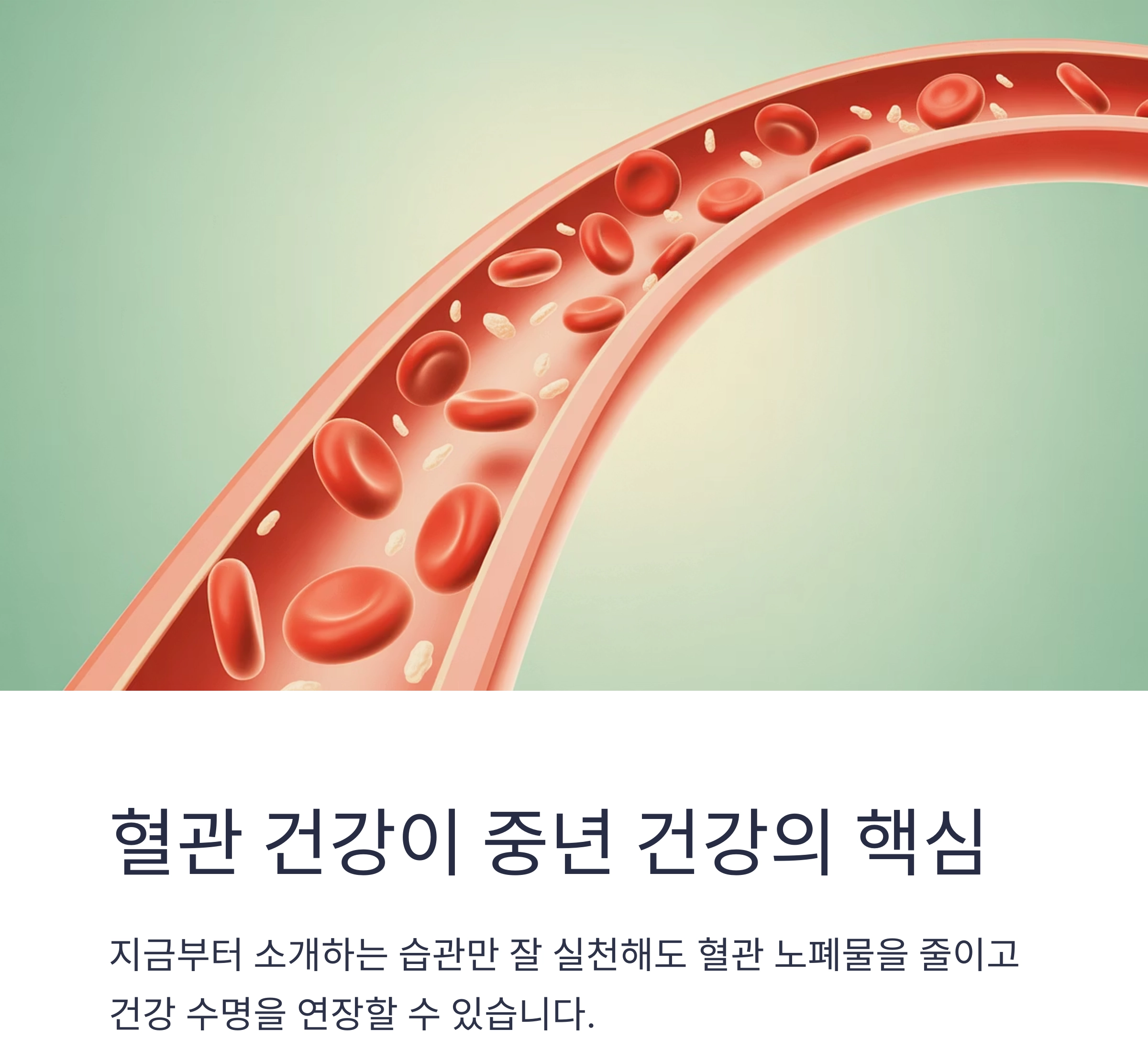 혈관을 깨끗하게 만드는 일상 습관, 건강한 중년을 여는 첫걸음