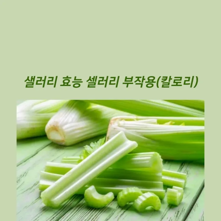 샐러리 효능 알고 먹는법 잎 생으로 손질법 요리_8