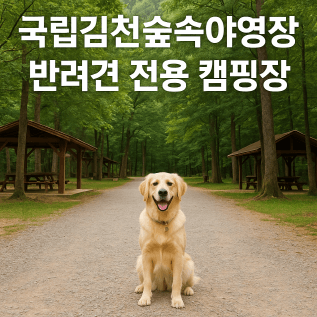 국립김천숲속야영장 반려견 전용 캠핑장 완벽 가이드