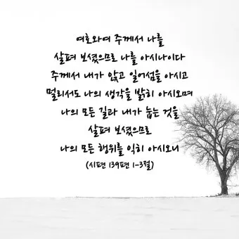 요한복음 12장 26절 묵상 - 사람이 나를 섬기려면 나를 따르라 나 있는 곳에 나를 섬기는 자도 거기 있으리라_2