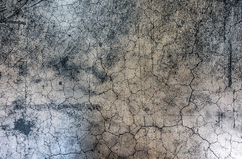 벽지 곰팡이 제거 방법 예방 꿀팁 총 정리