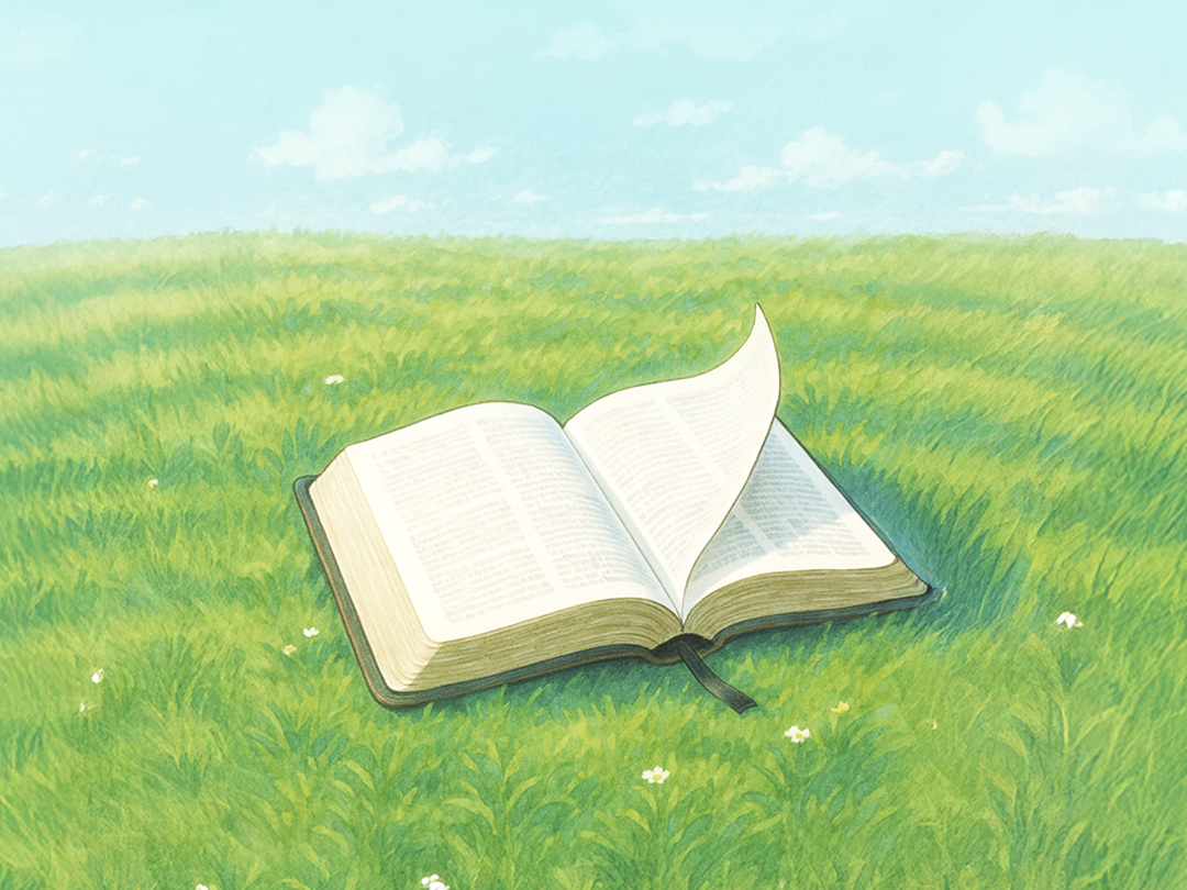 25년 5월 5일 말씀 카드 성경구절 : 너희는 썩어 없어질 양식을 얻으려고 힘쓰지 말고, 길이 남아 영원한 생명을 누리게 하는 양식을 얻으려고 힘써라. (요한 6,27)