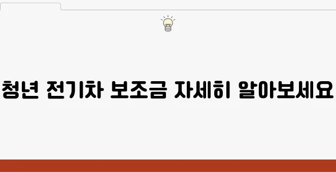 청년들을 위한 특별한 전기차 보조금입니다, 꼭 이용해 보세요!