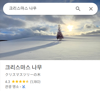 크리스마스나무(구글지도)