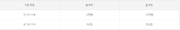 카카오 미니 한도