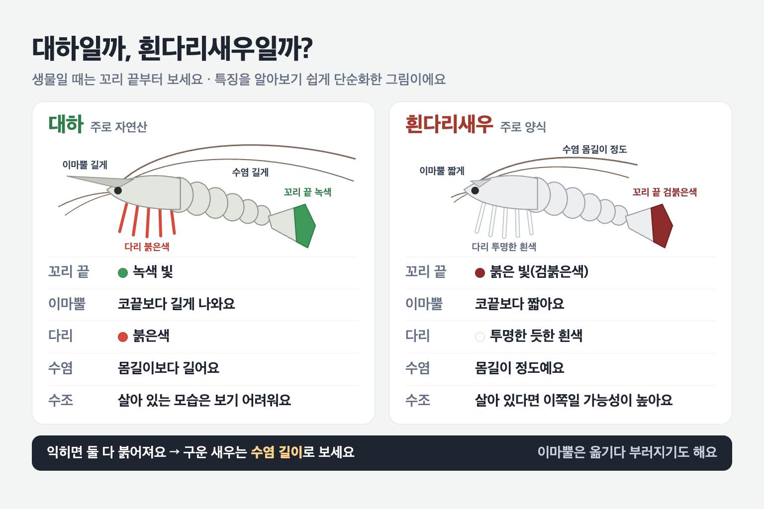 대하와 흰다리새우 비교 도표. 대하는 꼬리 끝이 녹색이고 이마뿔이 코끝보다 길며 다리가 붉고 수염이 몸길이보다 길다. 흰다리새우는 꼬리 끝이 검붉고 이마뿔이 짧으며 다리가 투명한 흰색이고 수염이 몸길이 정도다.