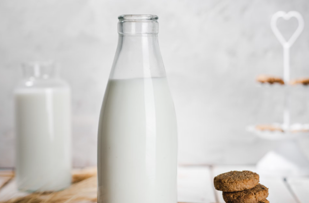 산양유 단백질 효능