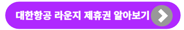 인천공항 대한항공, 스카이허브 라운지