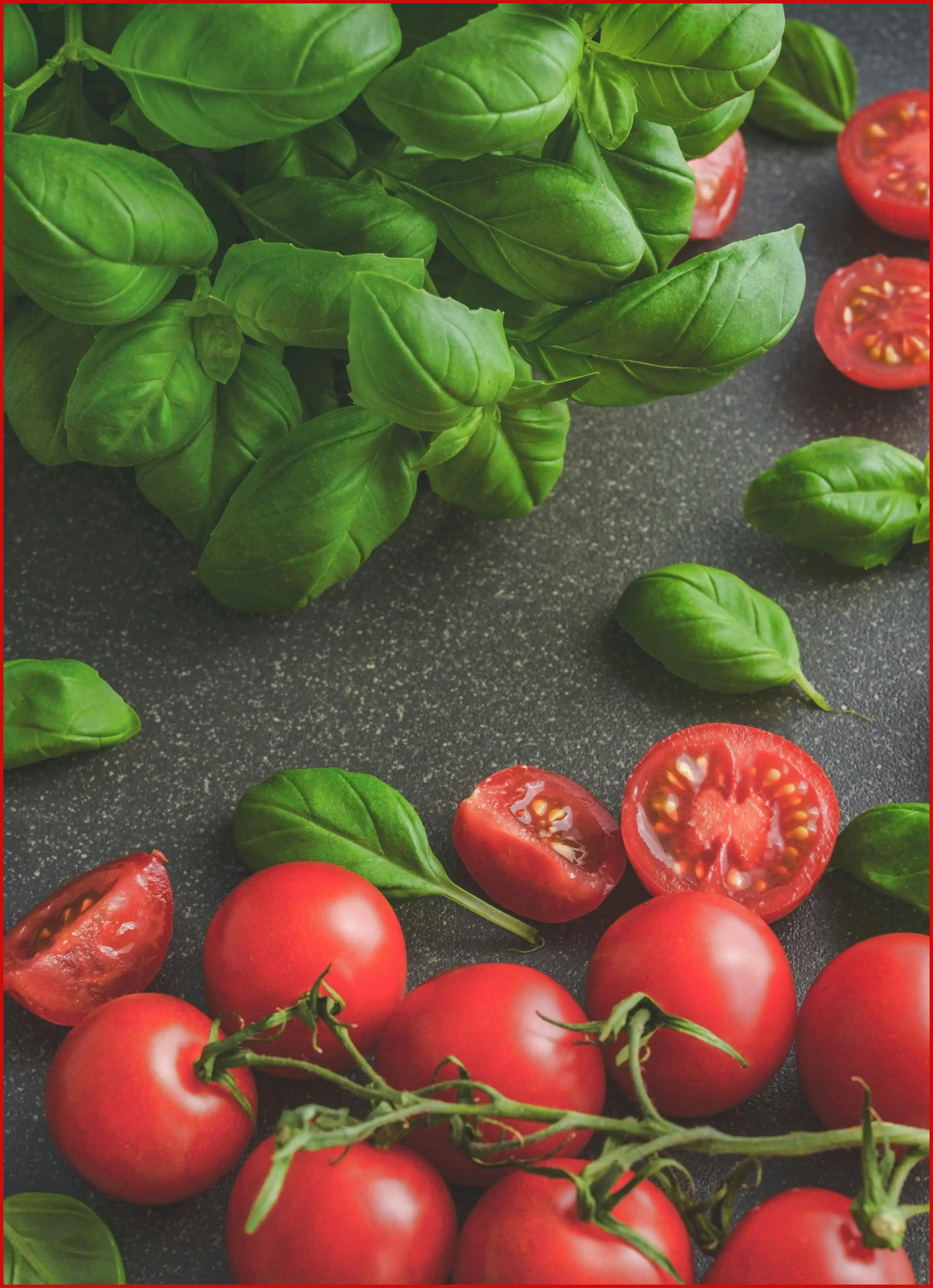 2024 코엑스 푸드위크 티켓 예매 방법 및 방문 꿀팁