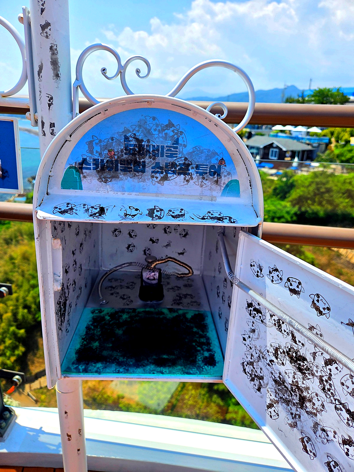 동해 묵호 가볼만한곳 도째비골 스카이밸리 총정리|입장료·전망·레포츠·스탬프투어