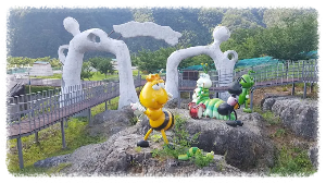 영월곤충박물관