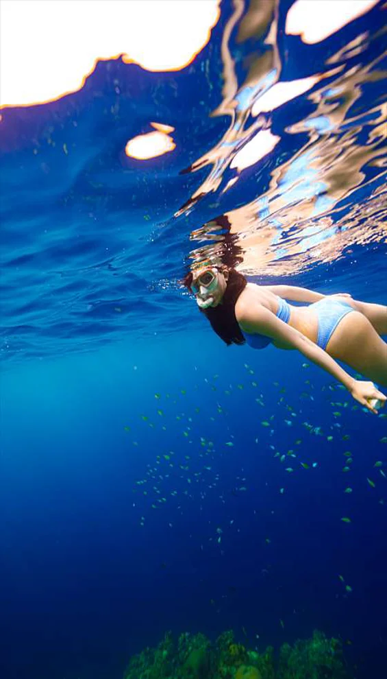 옐로우 프리다이빙