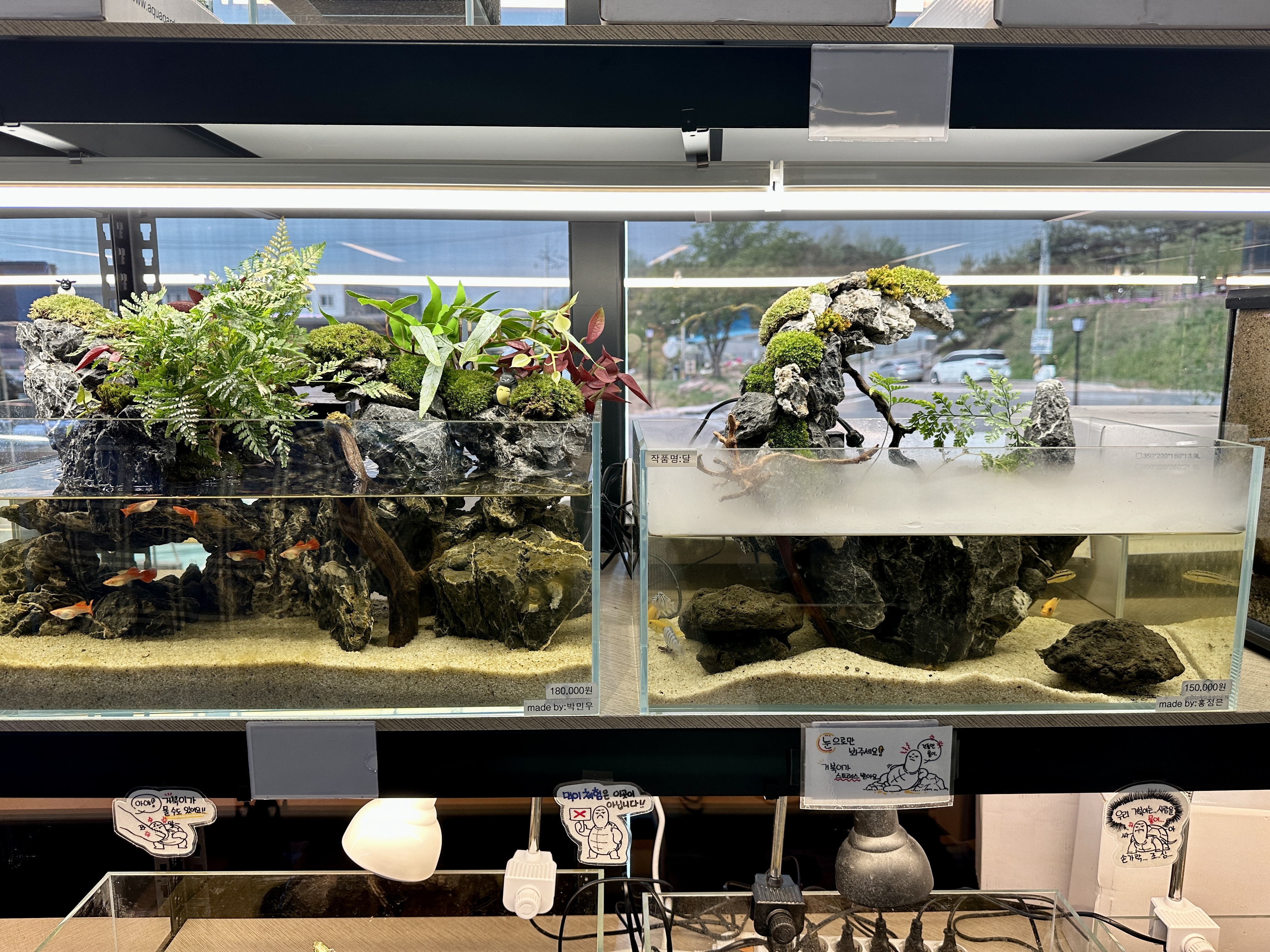 춘천 카페리움 수족관 물품