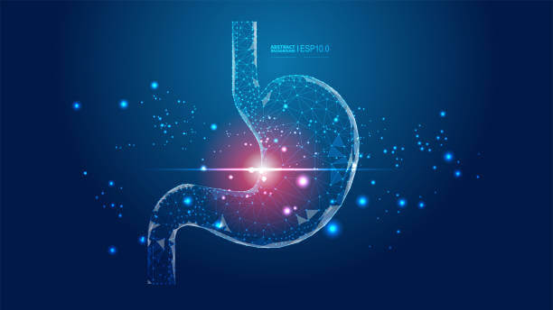 위 건강 영양제!!!위 건강을 위한 영양제 추천 Best.5 위 건강에 좋은 영양제 추천!!