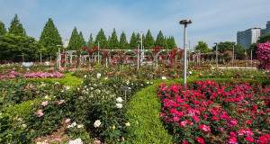 고양국제꽃박람회