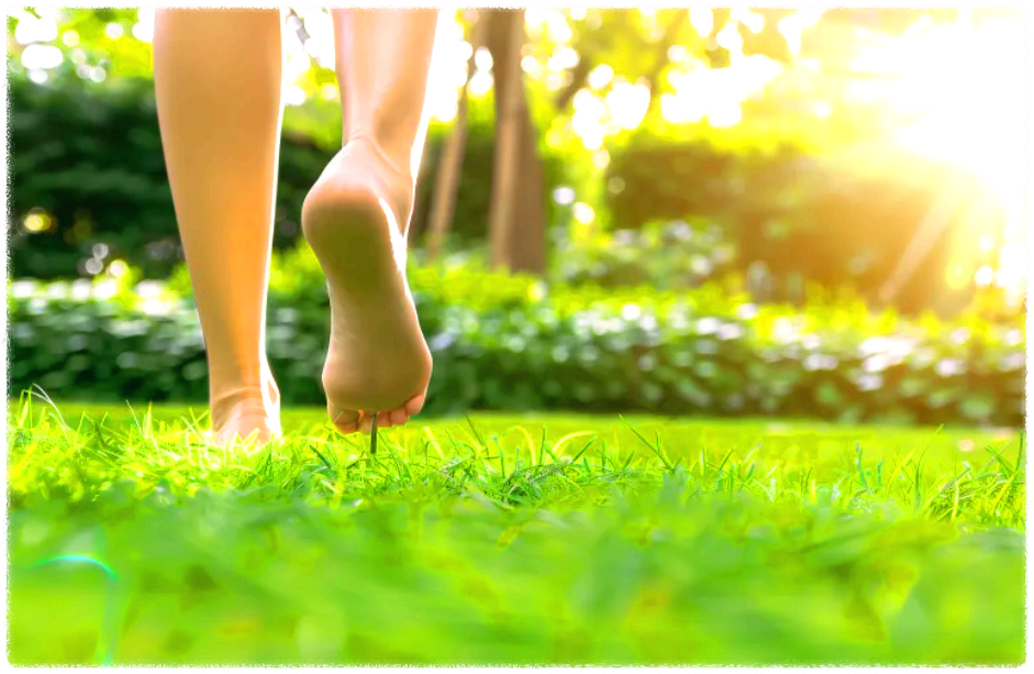 잔디밭 맨발 걷기