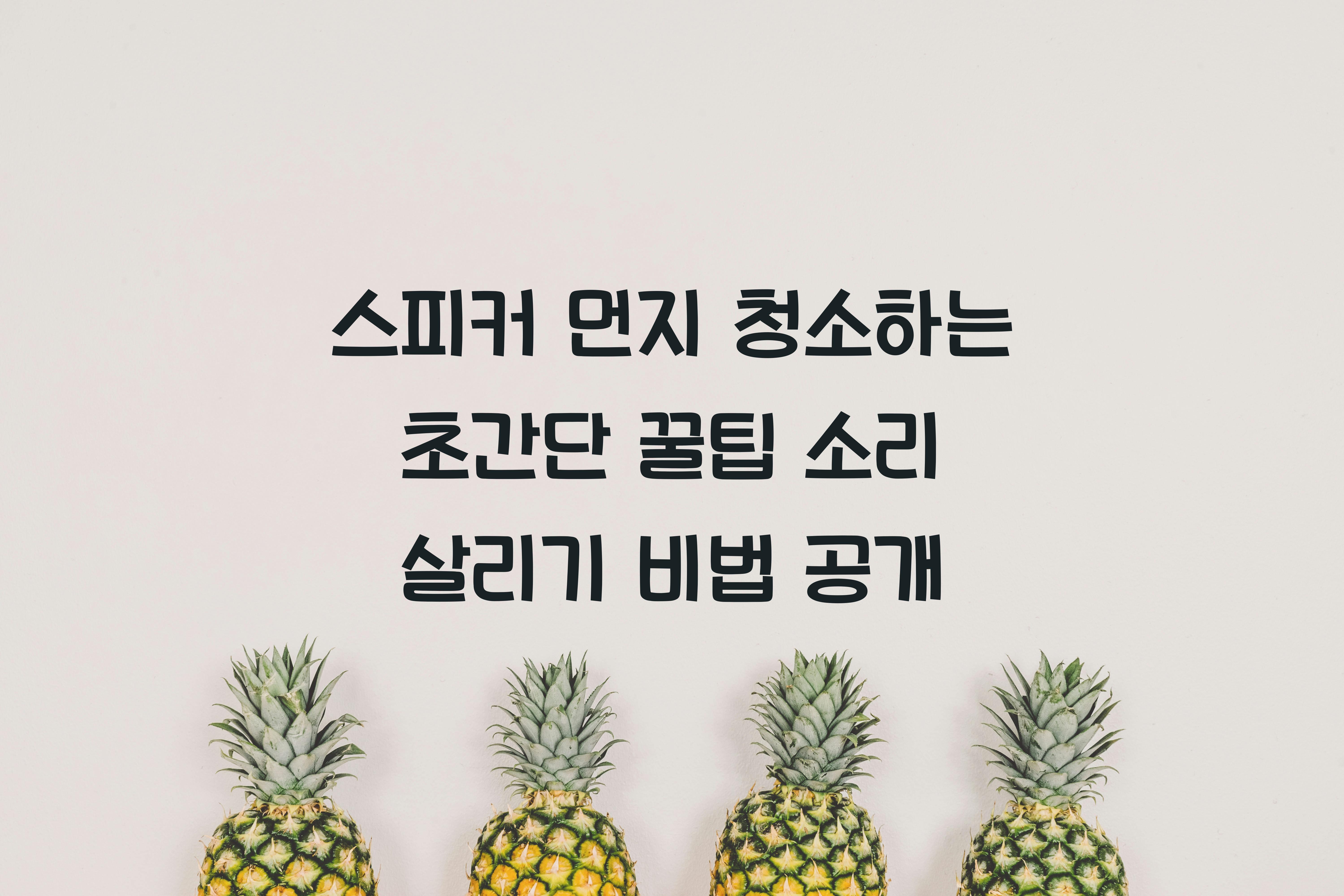 스피커 먼지 청소하는 초간단 꿀팁