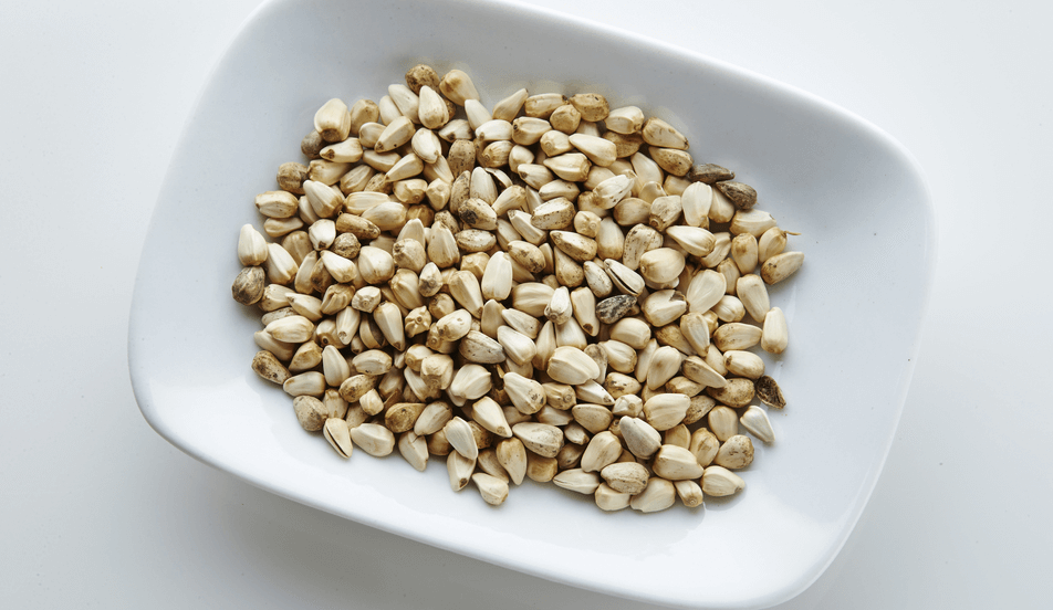 흰 그릇에 담겨 있는 여러개의 홍화씨