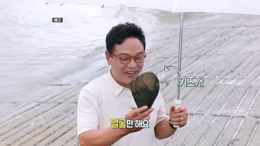 김영철의 동네 한 바퀴 3대째 노포 깊고 진한 맛 키조개 칼국수 한상 보령 오천항 맛집 소개