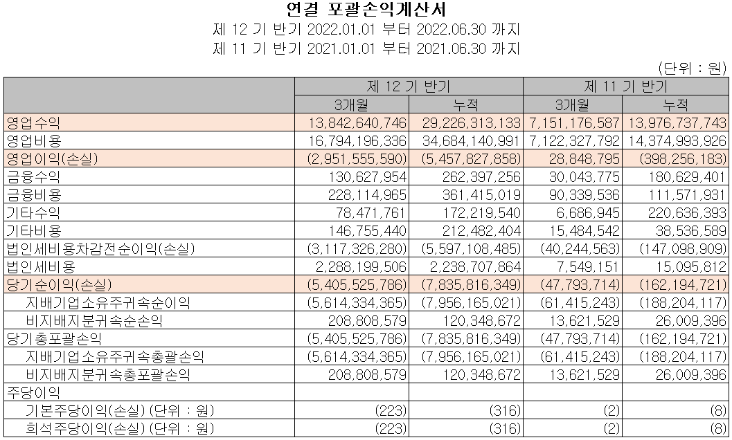 덱스터 - 손익계산서 (별도 기준)