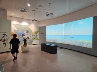 서산 실내 가볼만한곳 베스트 10으로 추천_15