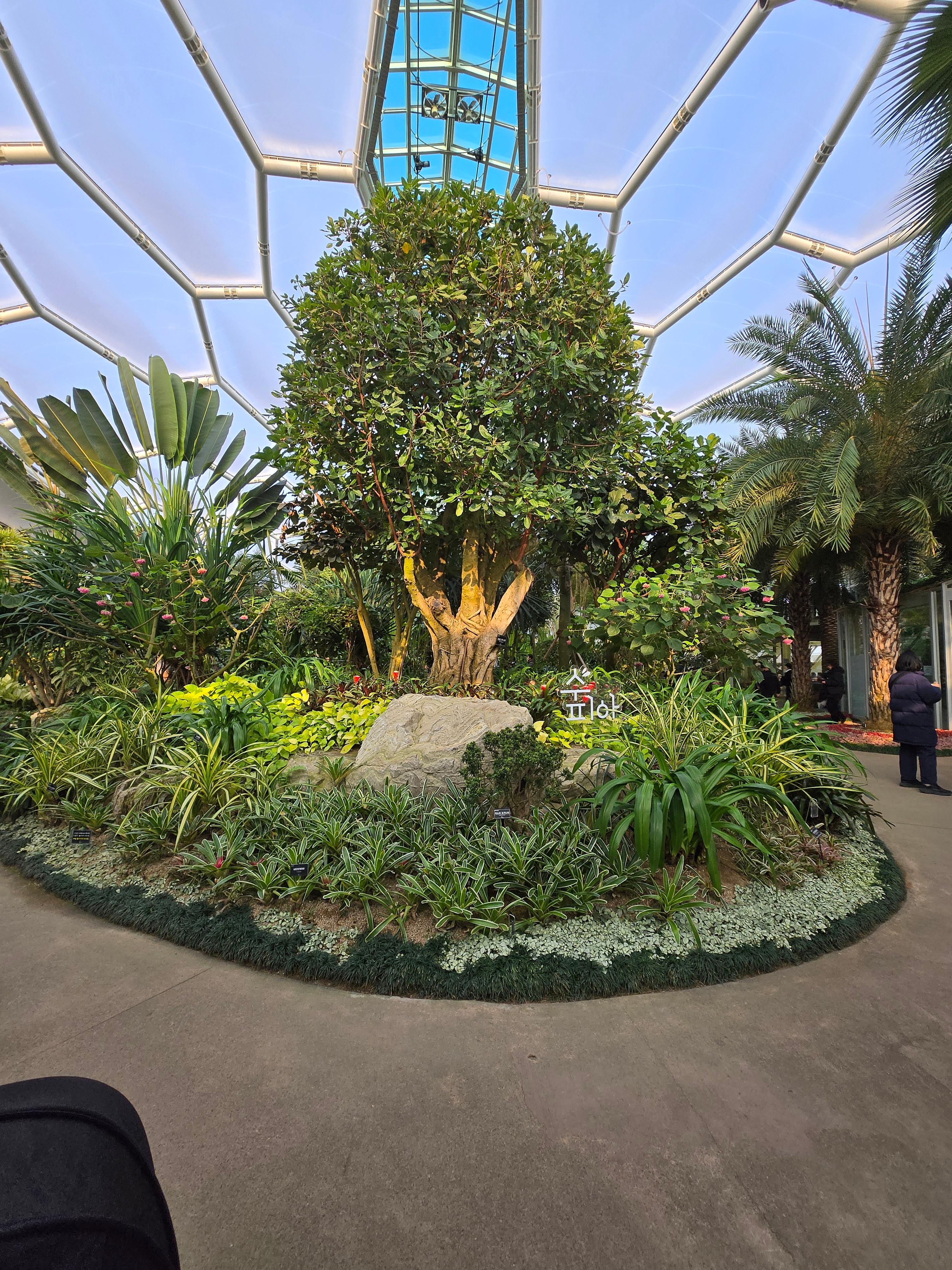 부천수피아식물원카페