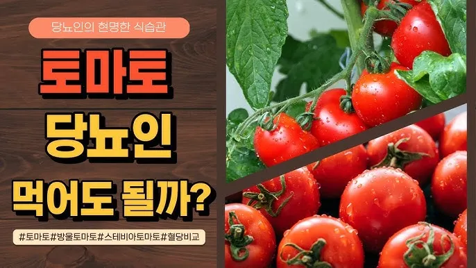 스테비아 방울토마토 칼로리 혈당 하루 섭취량_6