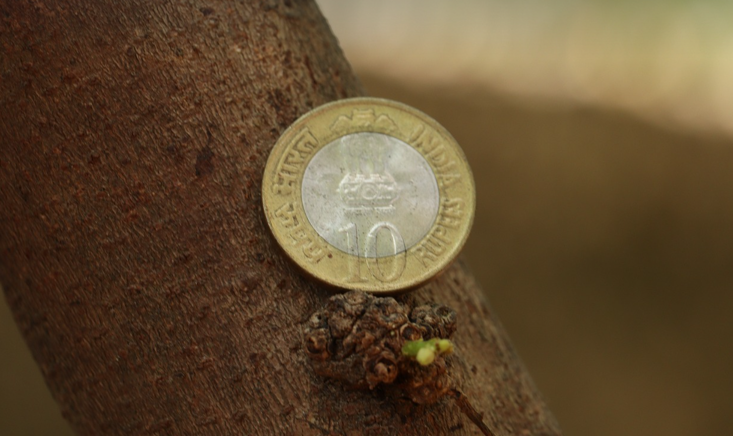 2030세대를 위한 현실적인 재테크